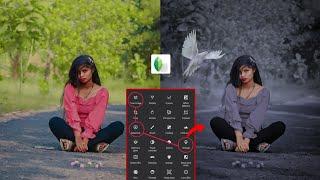 Snapseed Tips for BLACK Photo EditingJunior Naarsimha