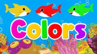 Learn Colors For Kids  Learning Colors For 2 Year Olds  Preschool Learning Videos