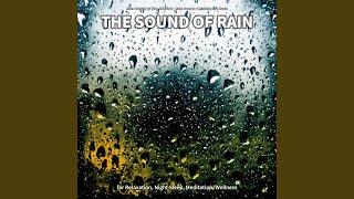 Fabulous Rain Sound Effects