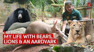 My life as a Night Safari zookeeper with lions bears and a cute aardvark