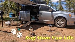 VAN LIFE With a Dog is the BEST  Minivan Camper Life