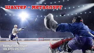 Хоккей вторая игра Шахтер 06 - Металлург