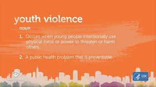 What is Youth Violence?