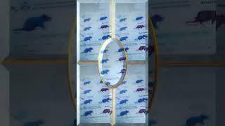 Griffiths experiment short #video