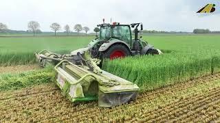 Gras bzw. Grünroggen mähen Agrarservice Einsatz für die Landwirtschaft Traktor Fendt & Claas Mähwerk