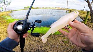 Fishing BIG Swimbaits for GIANT Bass BIGGIN CAUGHT