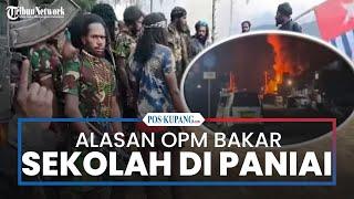 Alasan OPM Bakar Sekolah di Pania Papua Tengah