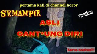 ASLI SETAN SEMAMPIR kendat