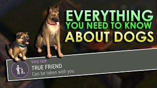 Dogs Explained How to get True Friends Trait & More - Last day on Earth Survival 1.7.12