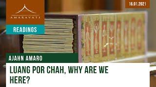 Luang Por Chah Why Are We Here?  Ajahn Amaro  16.01.2021