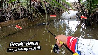 Spot Mancing Gokil -- Mulai Ikan Kakap Besar Sampai Monster Non Target Naik Semua