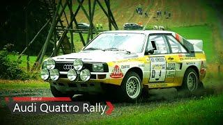 INSANE Audi Quattro Rally  Pure Sound