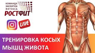 Косые мышцы живота - упражнения анатомия советы от Дмитрия Семёнова