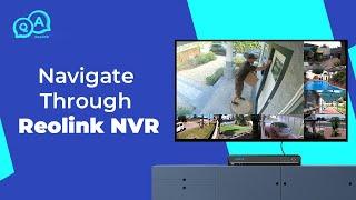 Navigate through the Reolink NVR — Reolink NVR Overview  You Ask We Answer