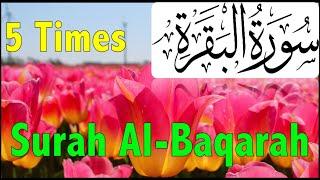 Surah Al Baqarah Full 5 Times with beautiful Tulips  سورة البقرة  Beautiful Recitation of Quran