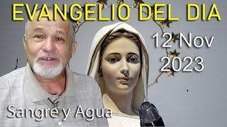 Evangelio Del Dia Hoy - Domingo 12 Noviembre 2023- Sangre y Agua
