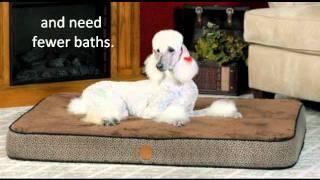 How Often Should You Bathe Your Dog Wash Your Dog Bedding and Dog Crates