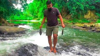 Sri Lankan Young Boy Cooking Delicious Tilapia fry Fish in Beautifully River Side