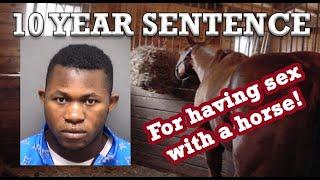 SEX WITH A HORSE - Texas Man Sentenced to 10 Years for Beastiality  Jean Marie Bugoma