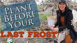 What How & Why to Plant Before Your Last Spring Frost