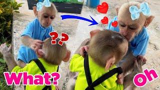 Bonbon liked Bibi the first time they met  Baby monkeys play together