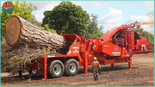 155 Incredible Dangerous Fastest Wood Chipper Machines Working On Another Level