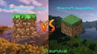 Minecraft bedrock edition vs minecraft java edition in survival