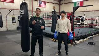 Transitioning From AMATEUR Boxing to PRO Boxing style