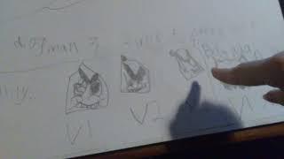 200 Subscriber Special Rory Shows You His Dumb Drawings ^_^