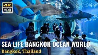 Dive into Underwater World at SEA LIFE BANGKOK Aquarium Thailand 4K HDR