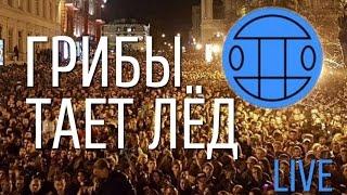 Грибы Live  Концерт  Тает Лёд - Одесса 1 апреля 2017