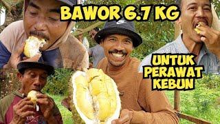 DURIAN BAWOR 6.7 KG ‼️ BUAT YANG NGERAWAT KEBUN SAMPAI MELE MELE ⭐