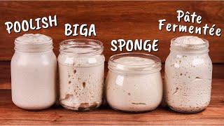 Yeasted Preferments Explained  Poolish Biga Sponge Pâte Fermentée