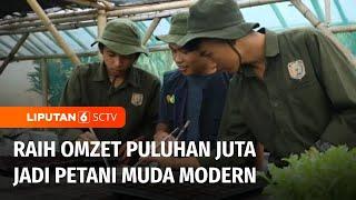 Berani Berubah Dapat Omzet Puluhan Juta Menjadi Petani Muda yang Modern  Liputan 6