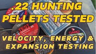 Best .22 Hunting Pellets of 2024 - The Ultimate Hunting Pellet Test Velocity Energy & Expansion