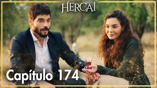 Hercai - Capítulo 174