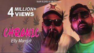 CHRONIC  Elly Mangat Feat. Paul G  Veet Baljit    Haani Records  Punjabi Song 2020
