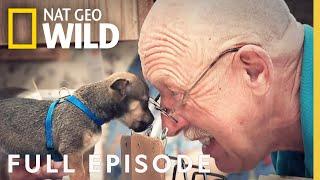 The Incredible Dr. Pol Jingle Pols Full Episode  The Incredible Dr. Pol