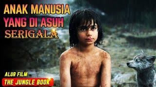 KISAH ANAK MANUSIA DIASUH OLEH  SERIGALA  Alur Film