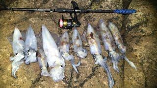 Jigging Malam Hari Untuk Cumi - Jigging Cumi Uk - Umpan Mancing Uk - Mancing Laut Uk