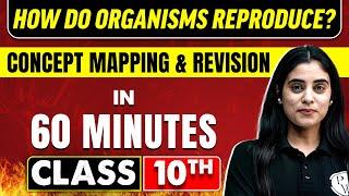 HOW DO ORGANISMS REPRODUCE? in 60 Minutes  Science Chapter 8  Class 10th CBSE Board