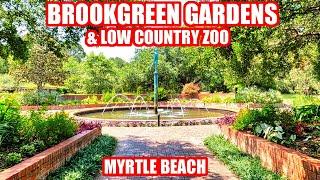 Brookgreen Gardens Full Tour Including Zoo & Butterfly House Murrells Inlet near Myrtle Beach SC
