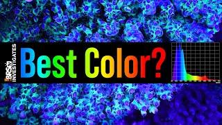 Tested Get the BEST Coral Coloration in Your Reef Tank With the Right Spectrum.