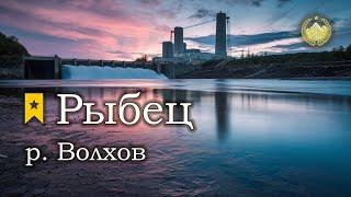  р. Волхов  Рыбец  Русская рыбалка 4 