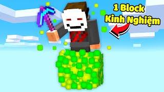 Minecraft nhưng Sinh Tồn trên 1 Block Kinh Nghiệm