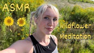 ASMR Wildflower Meditation + Hike 
