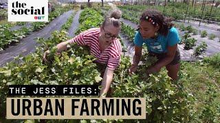 Jess Visits ‘Sundance Harvest’ Urban Farm  The Social