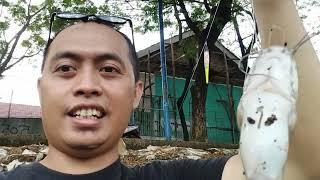Mancing Di Kali Kota Jakarta‼️ Strike Ikan Lele