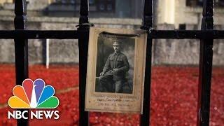 Armistice Day London Poppies Honor WWI Soldiers  NBC News