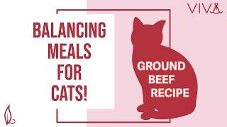 Balancing Viva Raw Beef For Cats